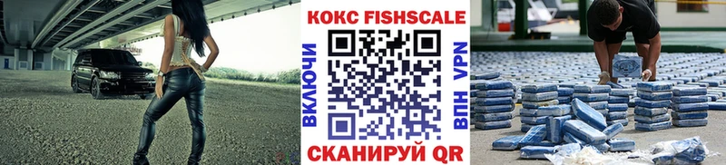 Cocaine Fish Scale  купить наркотик  ОМГ ОМГ ссылка  Новозыбков 