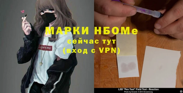 ПСИЛОЦИБИНОВЫЕ ГРИБЫ Алексин
