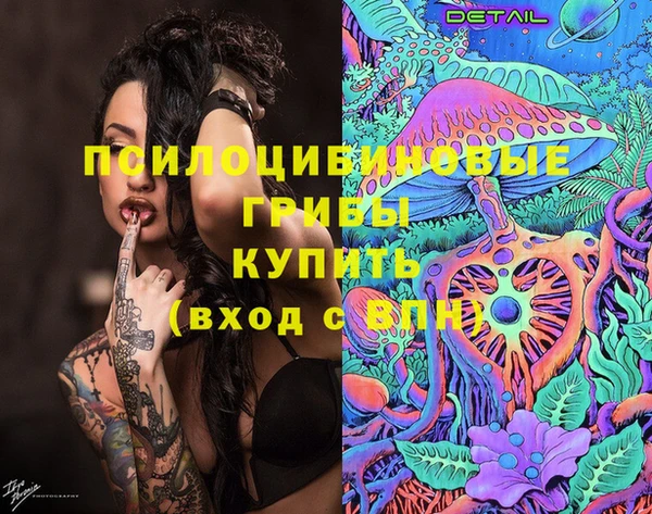 ПСИЛОЦИБИНОВЫЕ ГРИБЫ Алексин