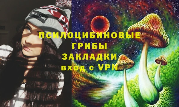 ПСИЛОЦИБИНОВЫЕ ГРИБЫ Алексин