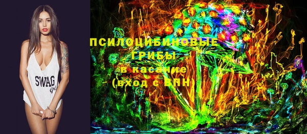 ПСИЛОЦИБИНОВЫЕ ГРИБЫ Алексин