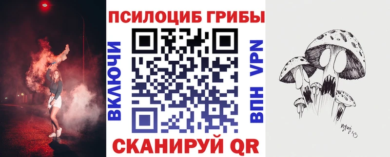 МЕГА онион  Новозыбков  Псилоцибиновые грибы GOLDEN TEACHER  купить наркотик 