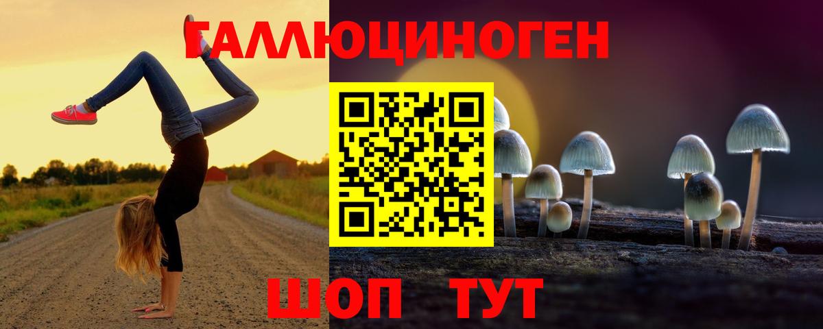 Псилоцибиновые грибы Cubensis Новозыбков